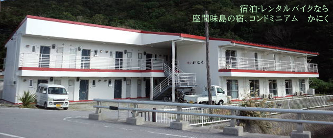 �R���h�~�j�A�����ɂ� ���C���摜